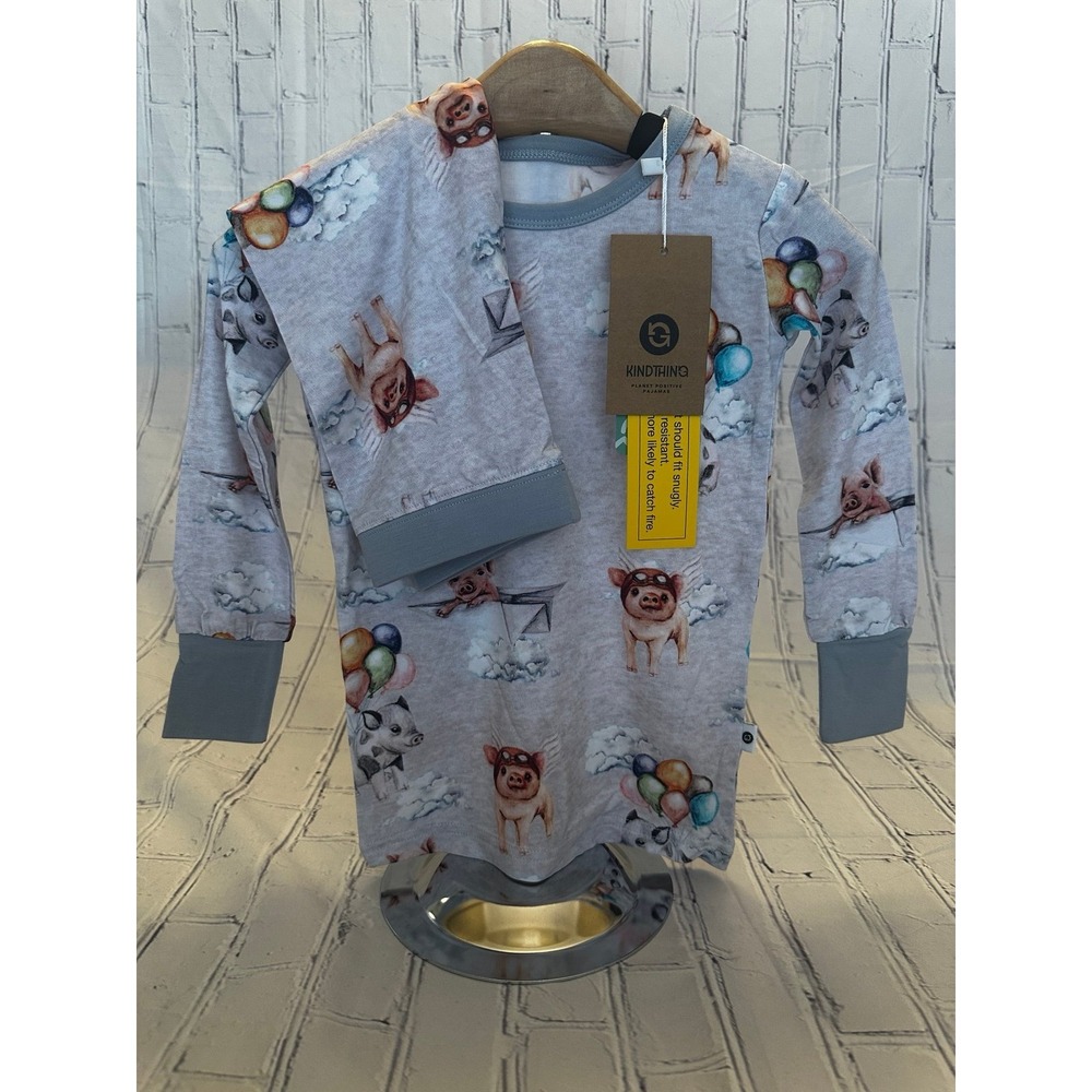*NEW* Wildwoven Kindthing 2T Modal When Pigs Fly 2 Piece Long PJ Set
